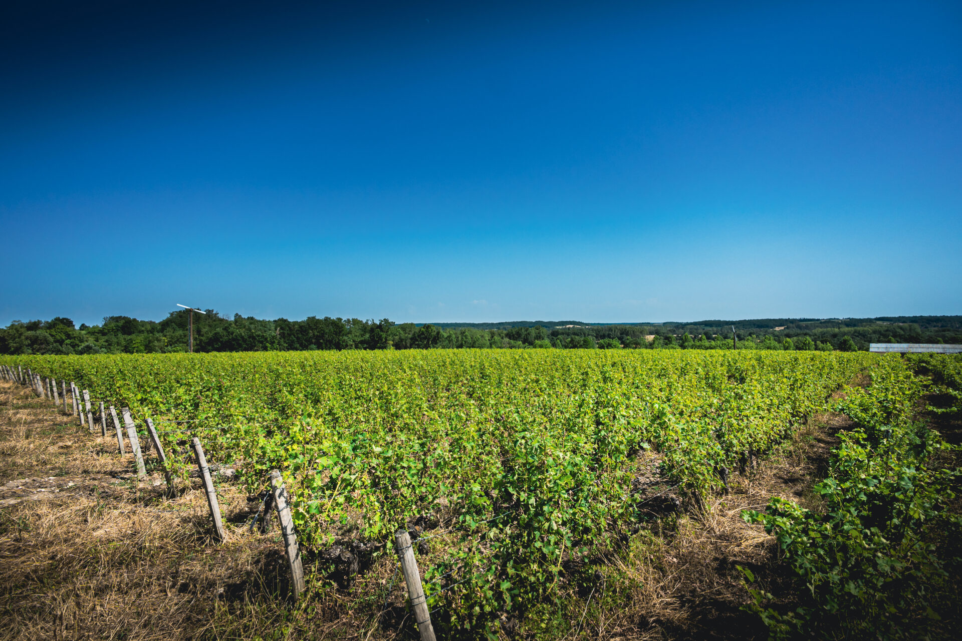 Domaine les Braconniers